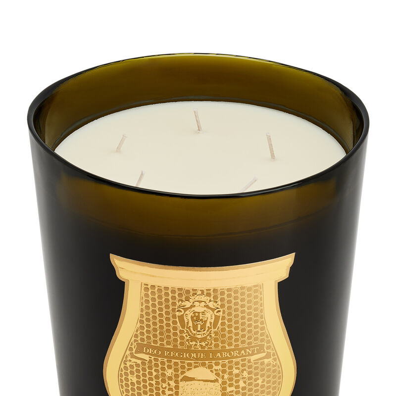 Trudon Ernesto Leather and Tobacco Great Candle | Tanagra UAE