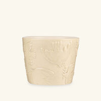 baobab collection paloma candles max 10