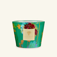 baobab collection bouquet candles max 10