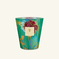 baobab collection bouquet candles max 16