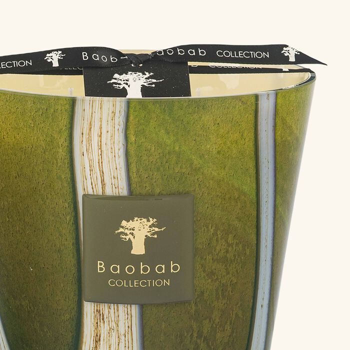 baobab collection woods sherwood candle max 16