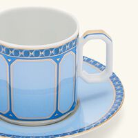 روزنتال فنجان القهوة سيغنوم فيرن مع صحنه أزرق