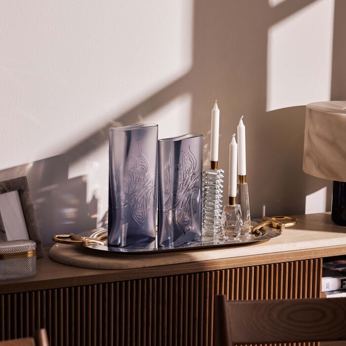 Oval Shadow Vase Small Clear mario cioni c oval shadow vase small clear