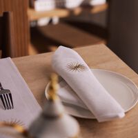 catherine denoual sunshine napkin white