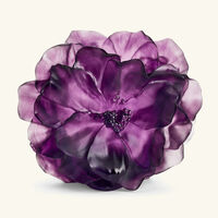 daum camellia vase medium pink