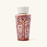 baobab collection sacred trees woroba diffuser