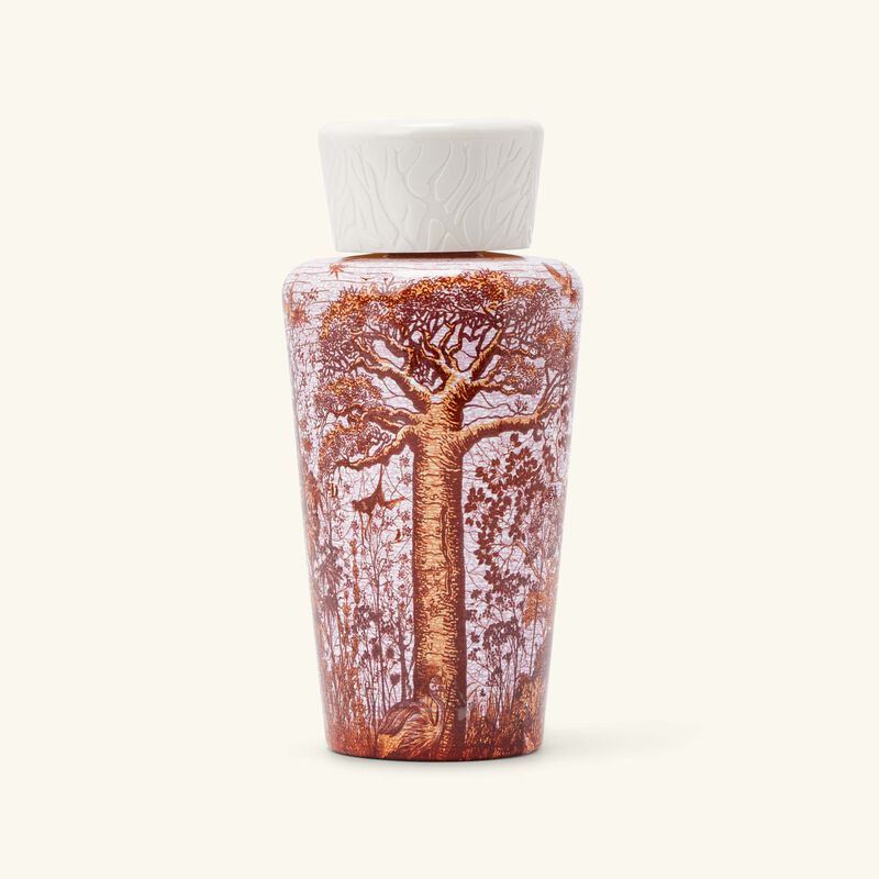 baobab collection sacred trees woroba diffuser