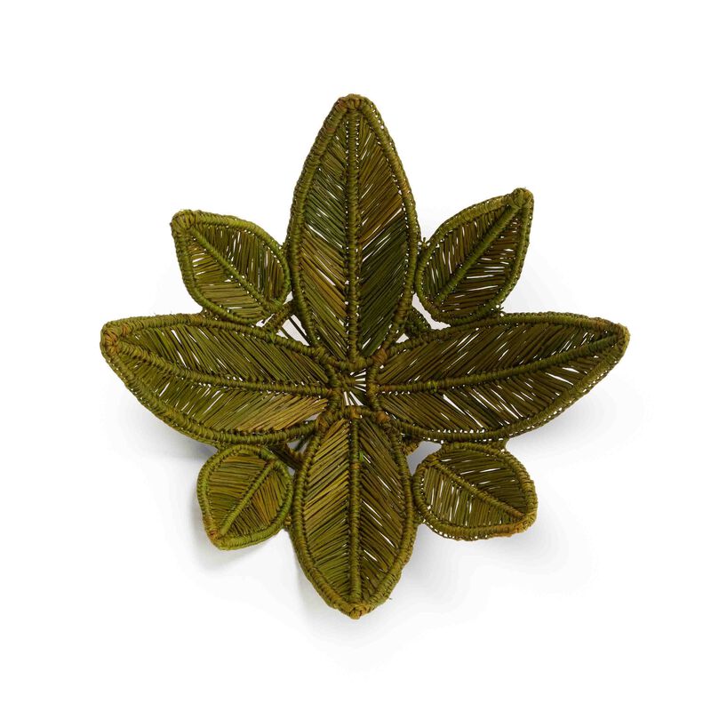 Stromanthe Straw Green Centerpiece - Small, large