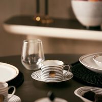 bernardaud aboro tea cup   saucer pattern