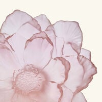 Camellia Centerpiece Medium Pink daum camellia centerpiece medium pink