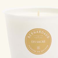 bernardaud sacred lily candle refill