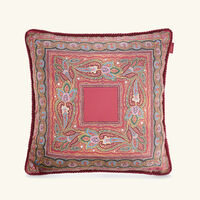 etro cachemire pillow