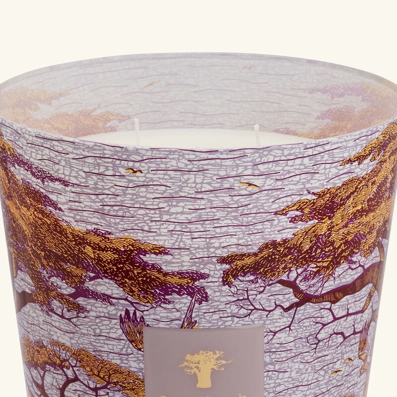 Sacred Trees Massasso Candle Max 35 baobab collection sacred trees massasso candle max 35