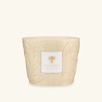 baobab collection paloma candles max 10