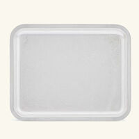 christofle jardin d eden serving tray rectangular small silver plated