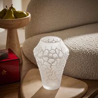 لاليك مزهرية تيرامينيرال كالديرا الدائرية الصغيرة الشفافة