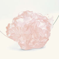 دوم مرآة كاميليا