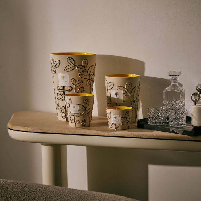 باوباب شمعة فوليا كالانك ماكس 10