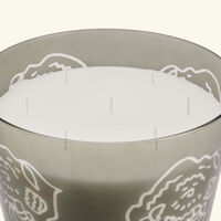 baobab collection collectible roses grey candle maxi max