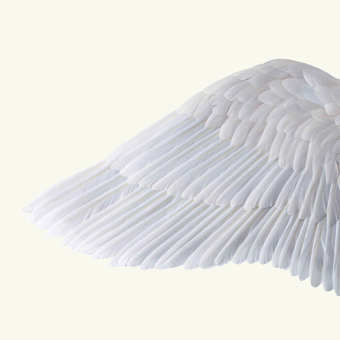 baccarat cheval olympus pegasus sculpture extra large clear limited edition of 8