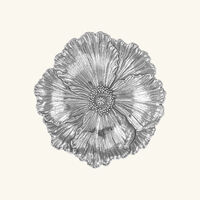 بوتشيلاتي وعاء على شكل زهرة الخشخاش فضي بحجم متوسط