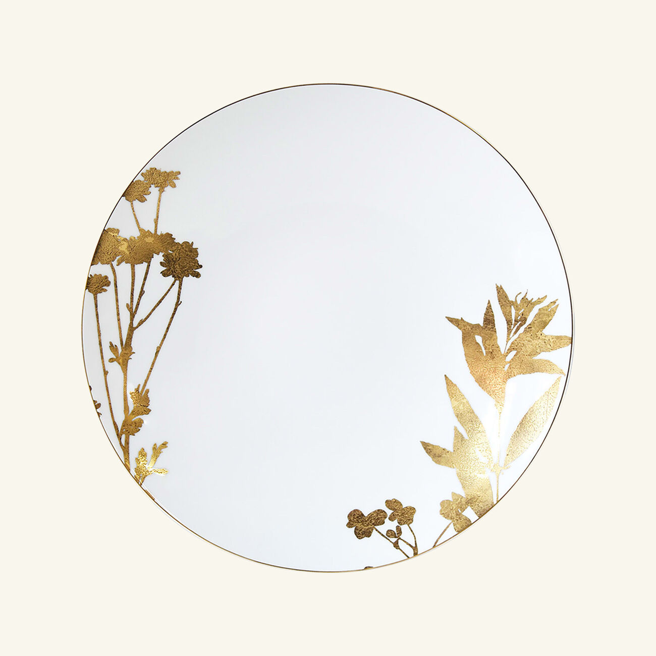 Végétal Or Dinner Plate Round Gold 26cm Set Of 4 bernardaud v g tal or dinner plate round gold 26cm set of 4