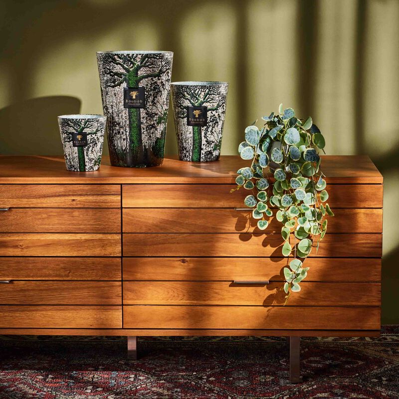 شمعة سيكرد تريز كاني ماكسي ماكس باوباب شمعة سيكرد تريز كاني ماكسي ماكس