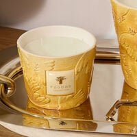 baobab collection dove candles max 10