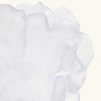 daum camellia vase medium white