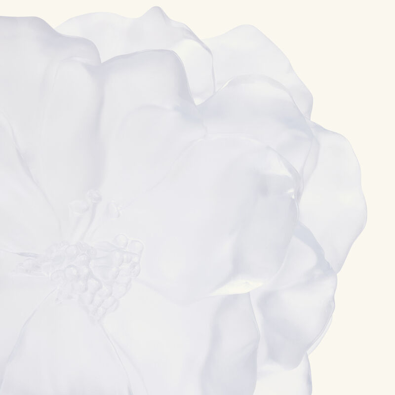 daum camellia vase medium white