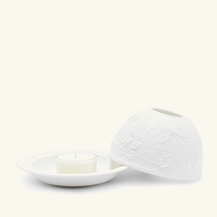 برناردو مصباح ليثوفاني باترفلايز إن فلايت