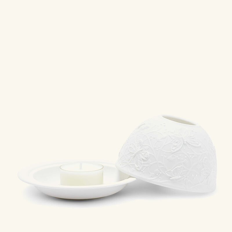 برناردو مصباح ليثوفاني باترفلايز إن فلايت