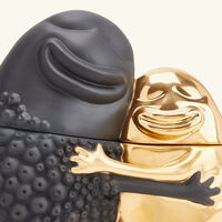 l objet haas huggers box