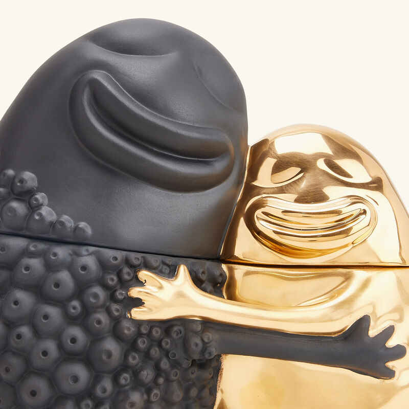 l objet haas huggers box