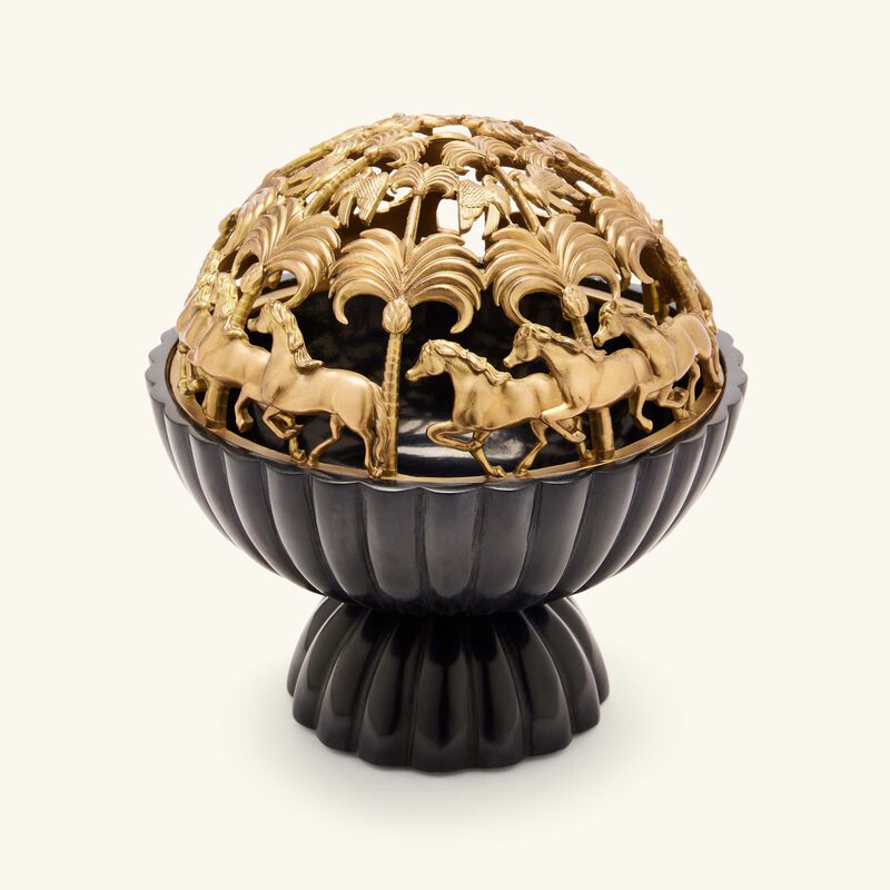 إيرا أودايبور مبخرة أشوا