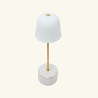 Campanule Sauvage Lamp bernardaud campanule sauvage lamp