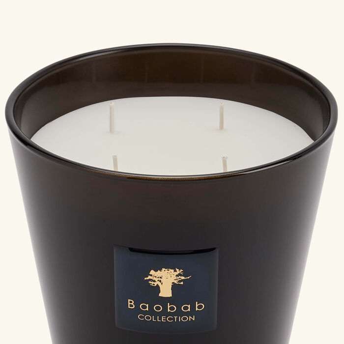 baobab collection encre de chine candle max 16