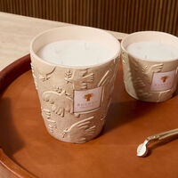 baobab collection paloma candles max 16