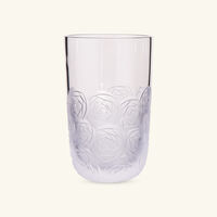 Heroine Roses Tall Drinking Glass Clear ruckl heroine roses tall drinking glass clear