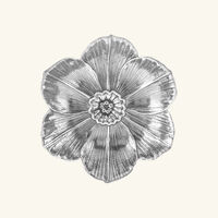 buccellati narcissus flower bowl medium silver