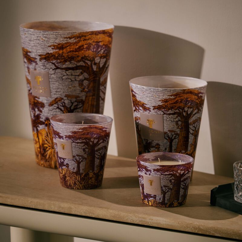 baobab collection sacred trees massasso candle max 24