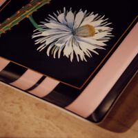 Natura Fleur De Cactus Trinket Tray Rectangular Black 22cm bernardaud natura fleur de cactus trinket tray rectangular black 22cm