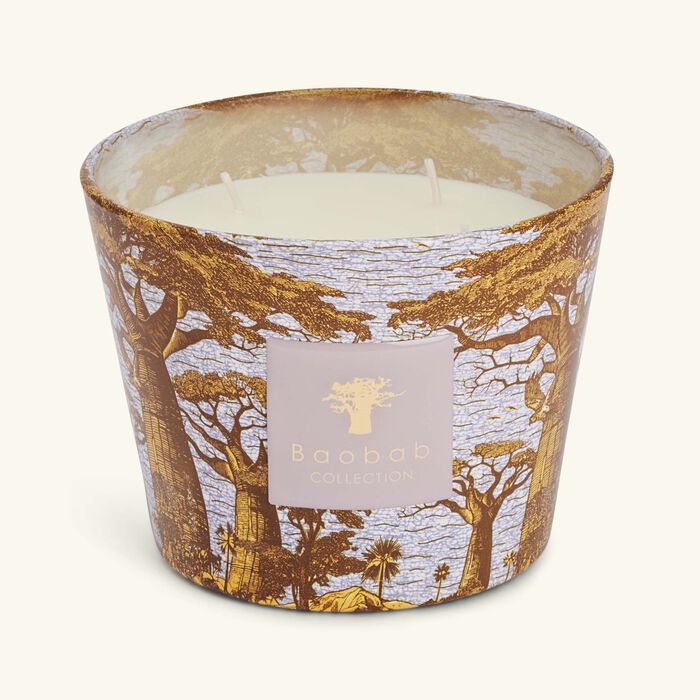 baobab collection sacred trees boukani candle max 10