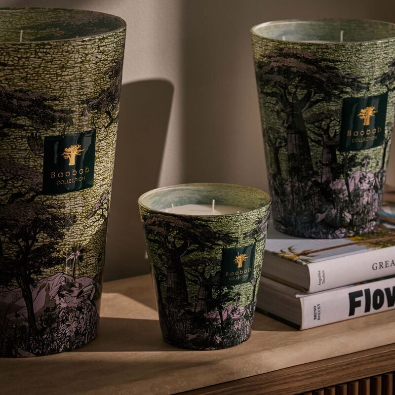 شمعة سيكرد تريز توبا المعطرة ماكس 16 باوباب شمعة سيكرد تريز توبا المعطرة ماكس 16