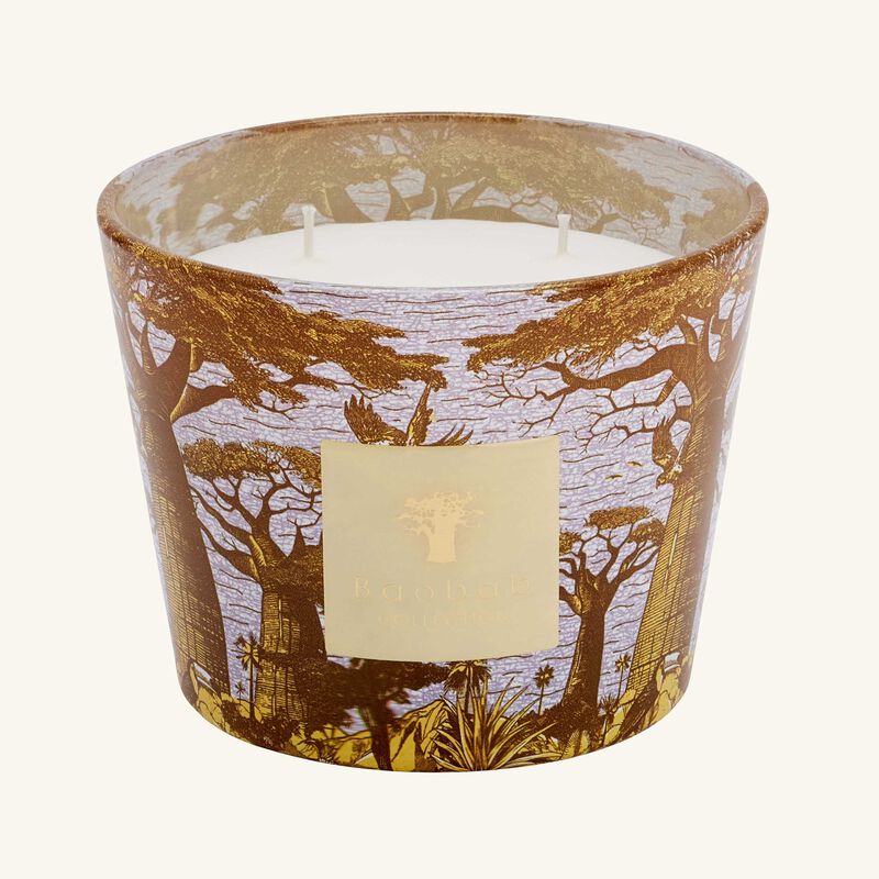baobab collection sacred trees cocody candle max 10