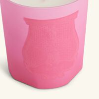 Summer Haze Candle 270g trudon summer haze candle 270g