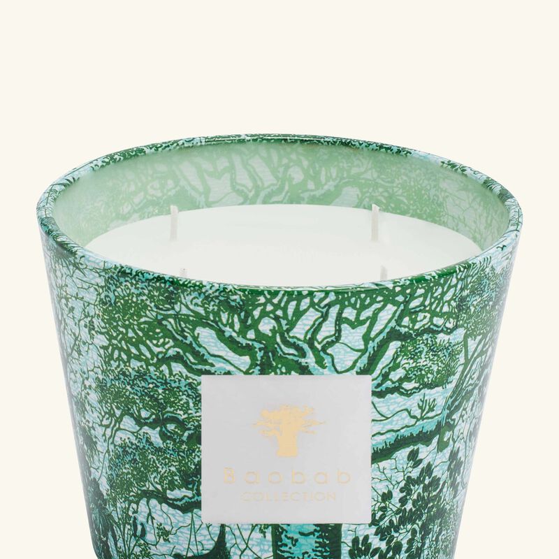 baobab collection sacred trees kamalo candle max 10