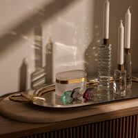 منحوتة على شكل سمكة صغيرة رمادية لاليك منحوتة على شكل سمكة صغيرة رمادية