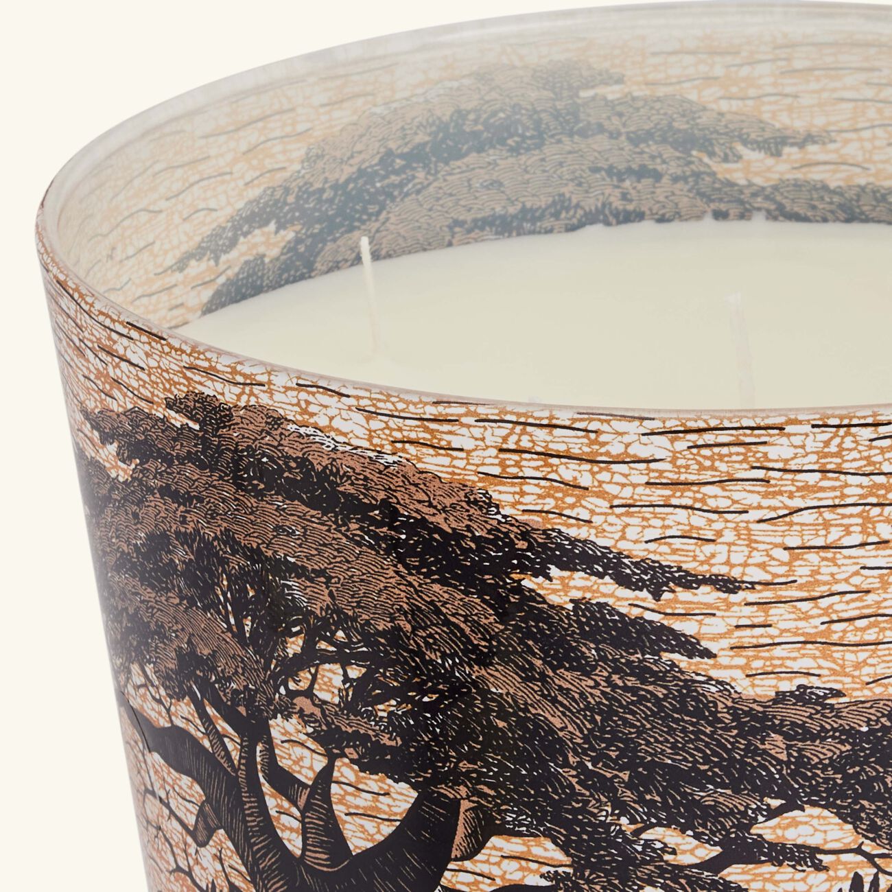 baobab collection sacred trees mankono candle max 24