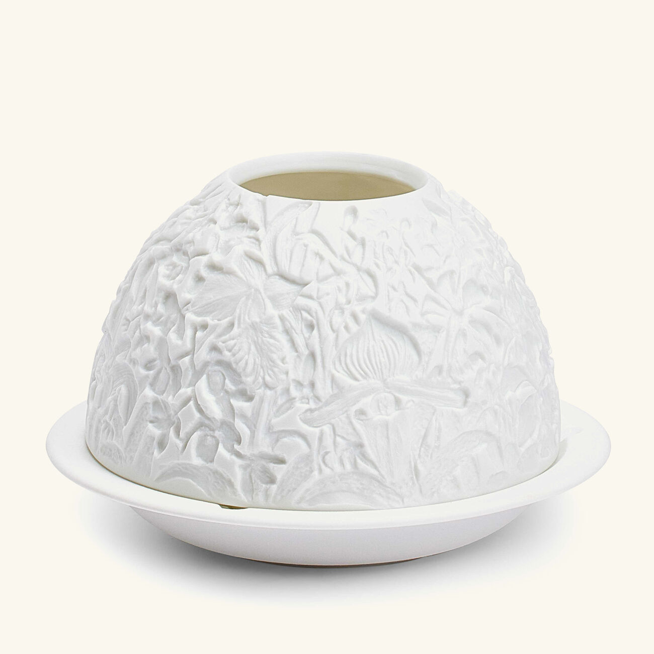 برناردو مصباح ليثوفاني ليز أوركيد